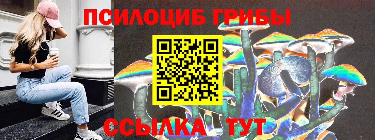 Дивногорск  Псилоцибиновые грибы MAGIC MUSHROOMS  Вход с VPN 