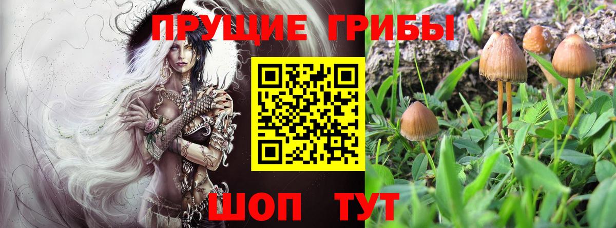 Псилоцибиновые грибы Magic Shrooms Дивногорск